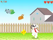 Feed the Dog