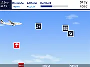 Airline Pilot