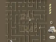 Rat Trap
