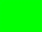 Flash Reflex