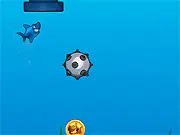 Jumpy Shark