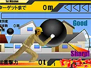 Steel Ball