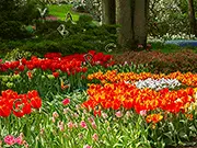Flower Garden 2
