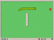 Fruit Snake Flash