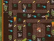 Night of The Living Veg
