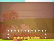 Vegetables Farm