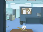Office Catapult