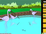 Zoo Escape