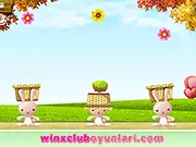 Catch The Flowers