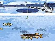 Fabulous Fishing