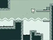 A Kitty Dream