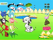 Dalmation