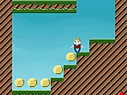Gravity Flip