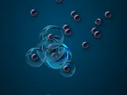 Bubble Catch
