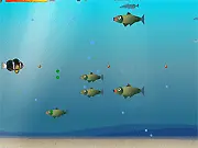 Fish Adventure