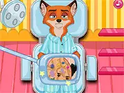 Fox Intestinal Surgery