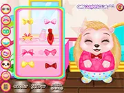 Baby Hedgehog Salon