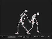 Wireframe Skeleton