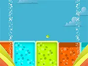 Bird Color Target