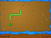 Frenzy Snake Flash