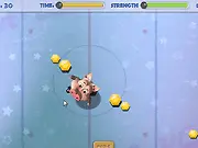 Pigs on Ice