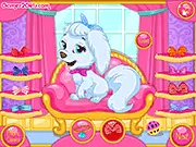 A Day With My Pet