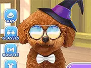 Pet Salon 2
