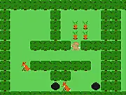 Hare's Harvest