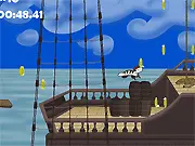 James the Pirate Zebra