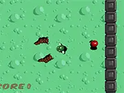 For An Apple