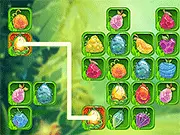 Jungle Jewels Connect