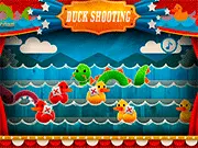 Duck Shooting