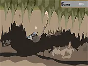 Bat Flight