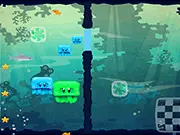 Box Jelly