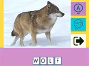 Picture Quiz
