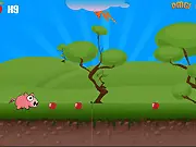 Oink Bunk