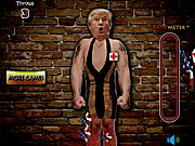 Trumps Dart Pain Meter 2