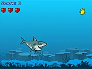 Snappy Shark
