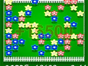 Flower Rectangles