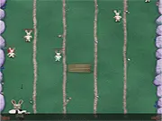 Bunny Fury