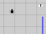 Spider Attack !!!