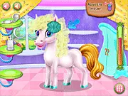 Pony Spa Salon