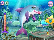Pretty Dolphin Care