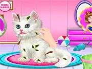 Kitty Care and Grooming