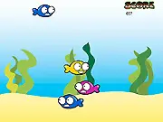 Super Fishy