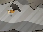 Guppy Guard Express