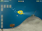 The Plunge