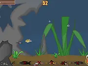 Special Fishy