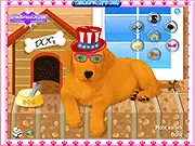Labrador Puppy Dressup