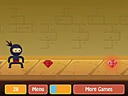 Ninja Hop